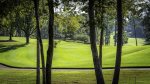 12th Green Diamante Golf Course